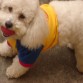Con la camiseta de la selección Colombia!  (aunque perdimos sniffffffff)
